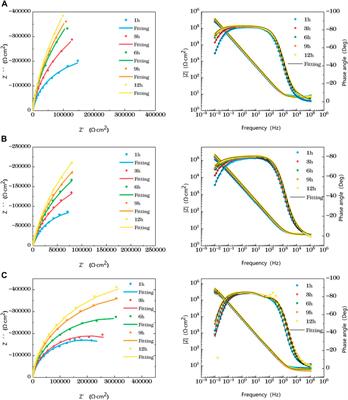 Characterization of Corrosion Behavior of TA2 Titanium Alloy Welded Joints in Seawater Environment